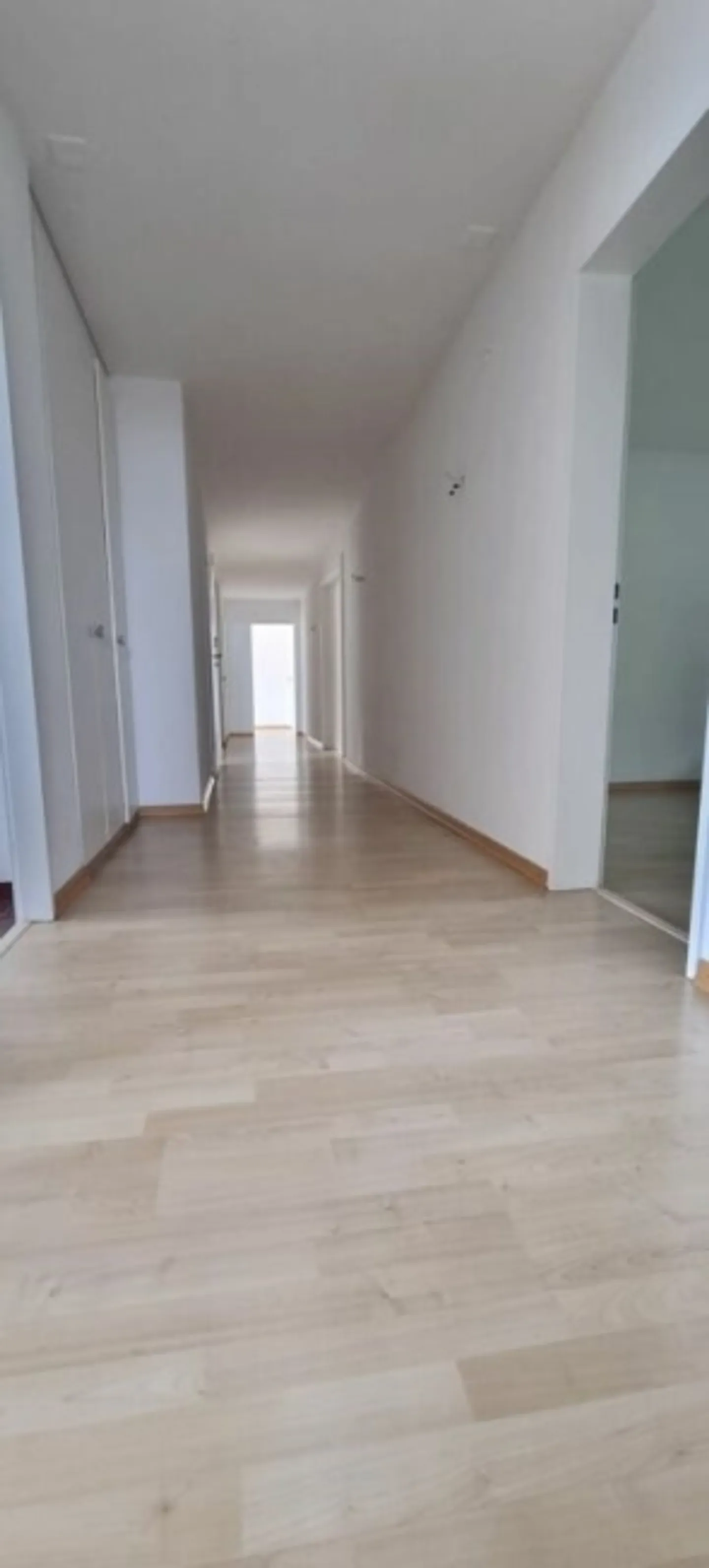 Bellissimo 6.5 ZWG - Foto 4 di 8