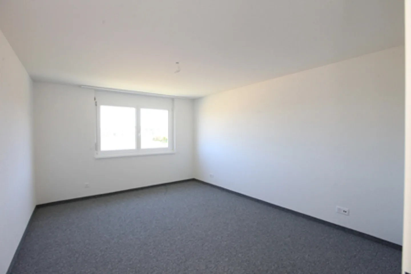 Dream apartment seeks new residents - Photo 4 of 8