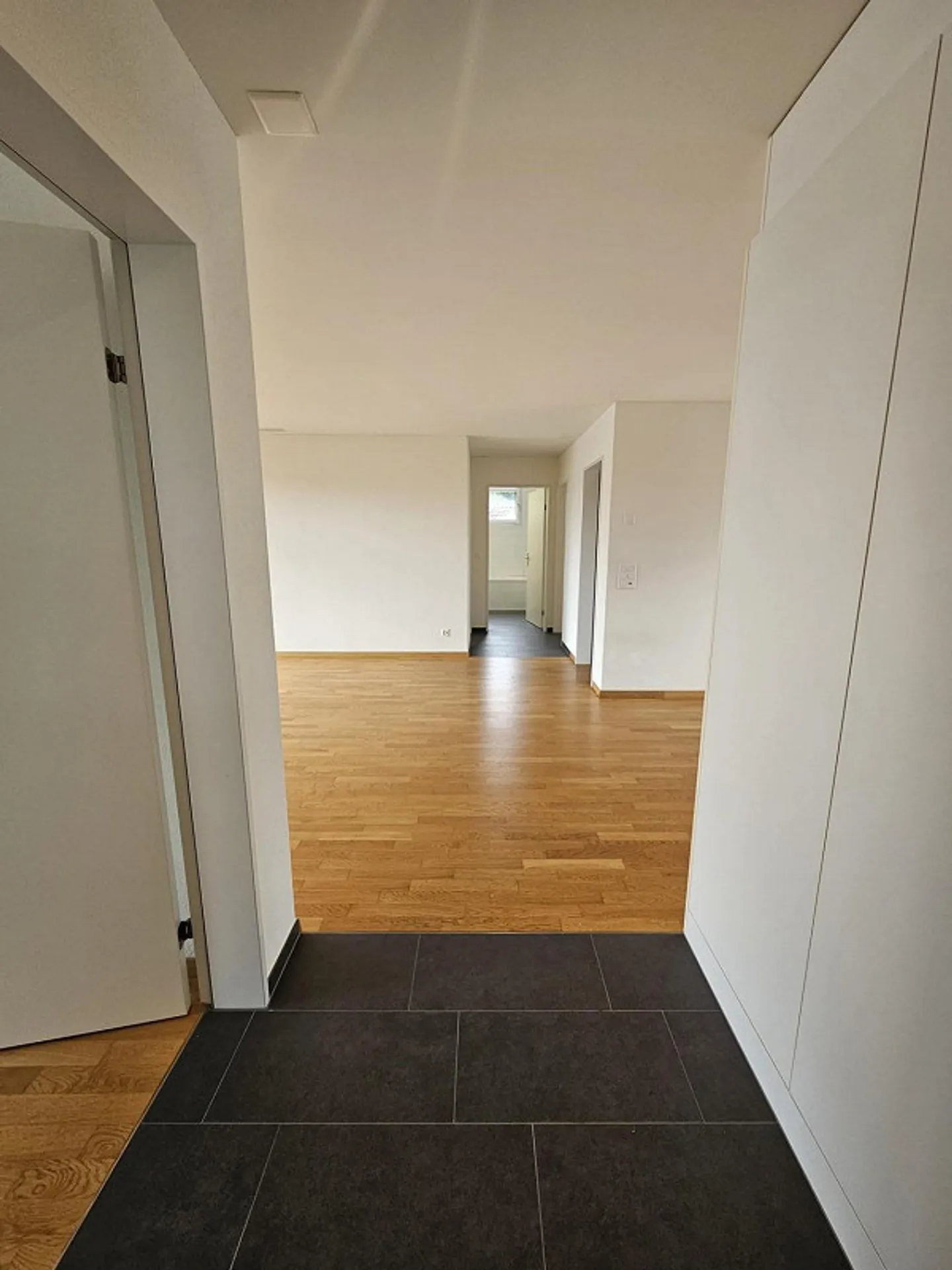Appartamento moderno con balcone nel villaggio vicino a Solothurn - Foto 6 di 11