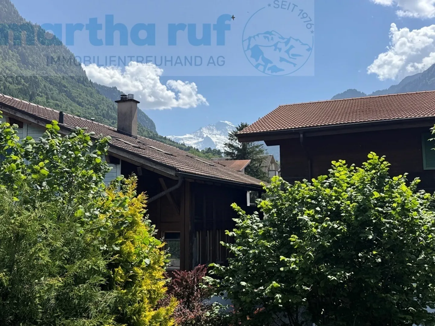 Quiet and modern 2.5-room apartment on the upper floor with views of the Jungfrau - Photo 10 of 11