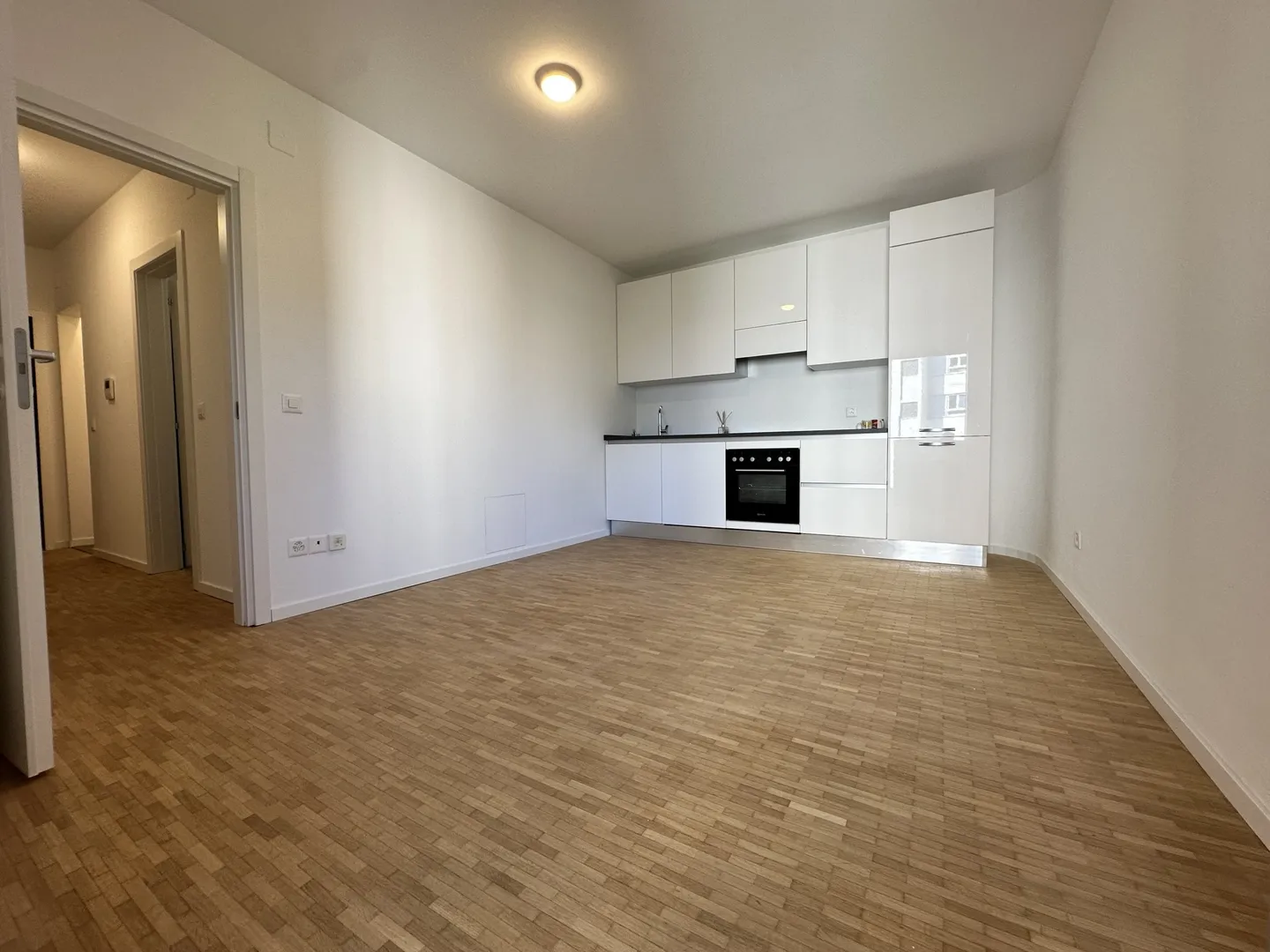 1.5 LOC. RÉNOVÉ IDÉAL COMME INVESTISSEMENT À COLDRERIO - Photo 1 sur 9