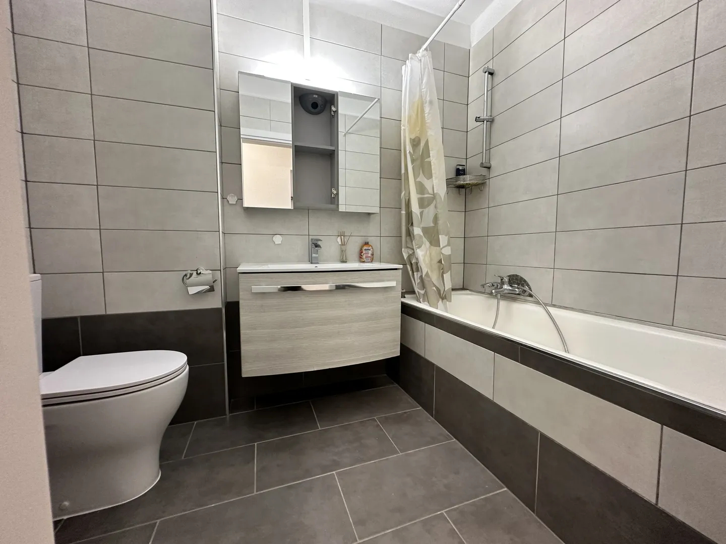 1.5 LOC. RÉNOVÉ IDÉAL COMME INVESTISSEMENT À COLDRERIO - Photo 6 sur 9