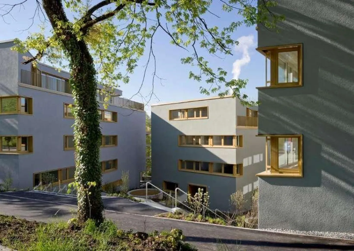 Urban wohnen in Zürich-Höngg - Foto 1 von 10