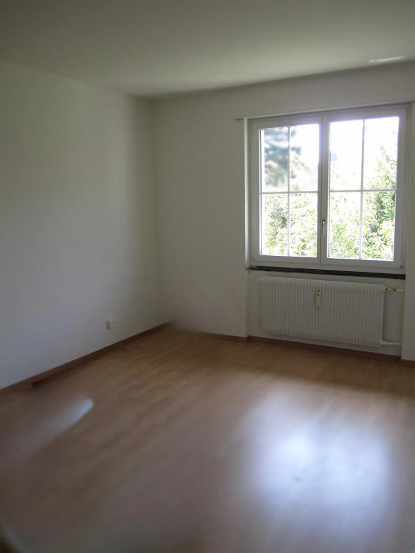 Charmante 3-Zimmerwohnung in Liebefeld - Foto 3 von 5