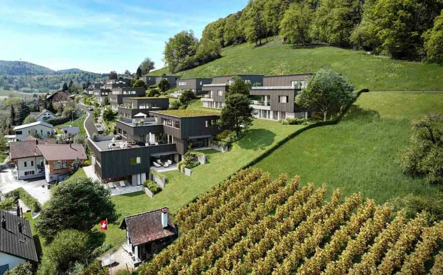 Vista panoramica da sogno sull'Alpstein con Säntis e Churfirsten - Casa a terrazza di 5,5 stanze - Foto 1 di 17