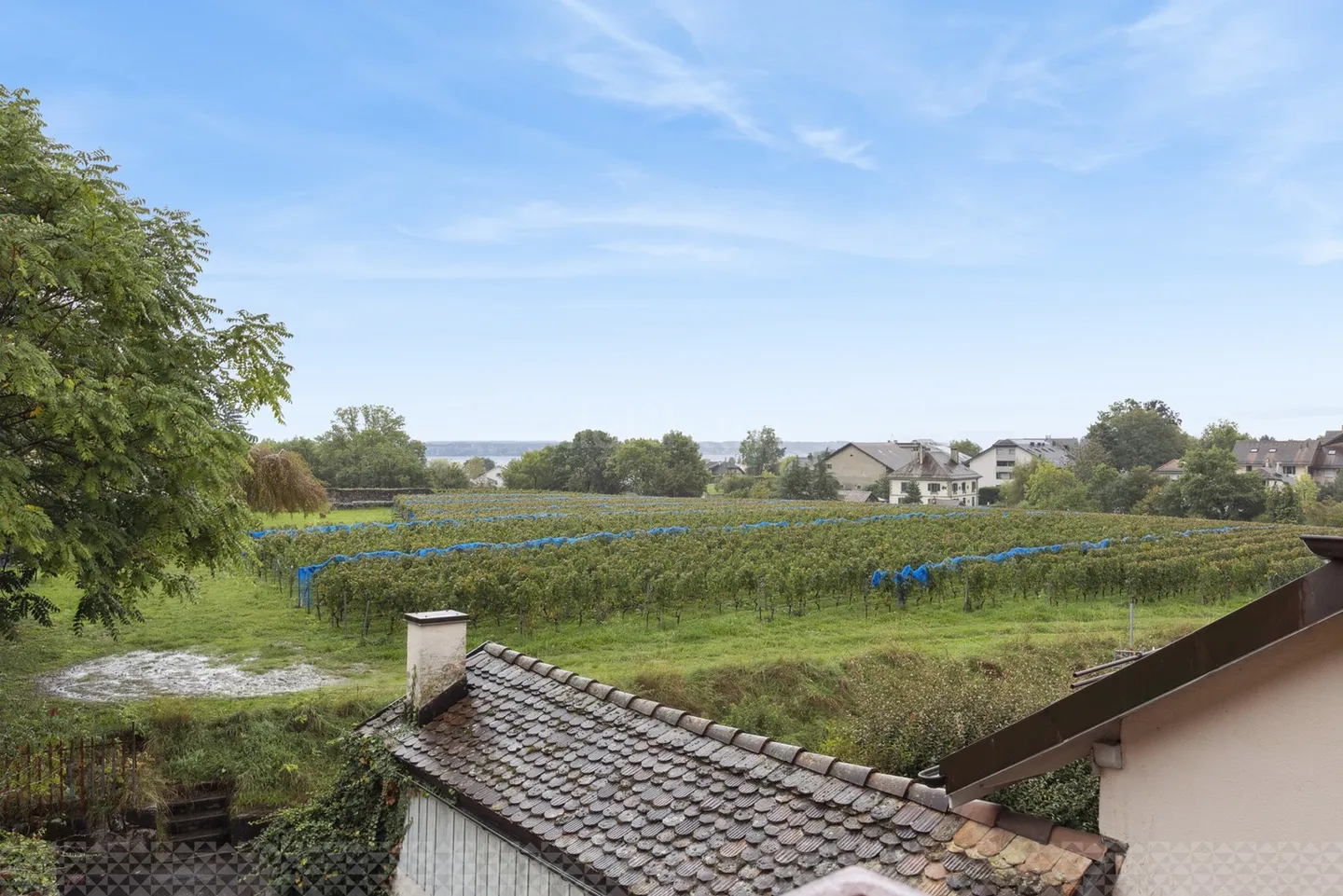 Appartamento 4.5 stanze - Foto 1 di 10