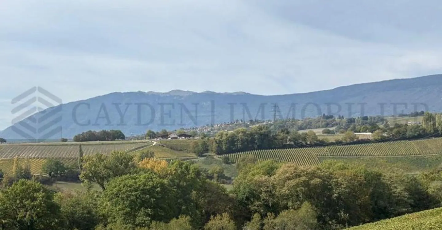 Gartenwohnung mit atemberaubender Aussicht - Foto 10 von 10