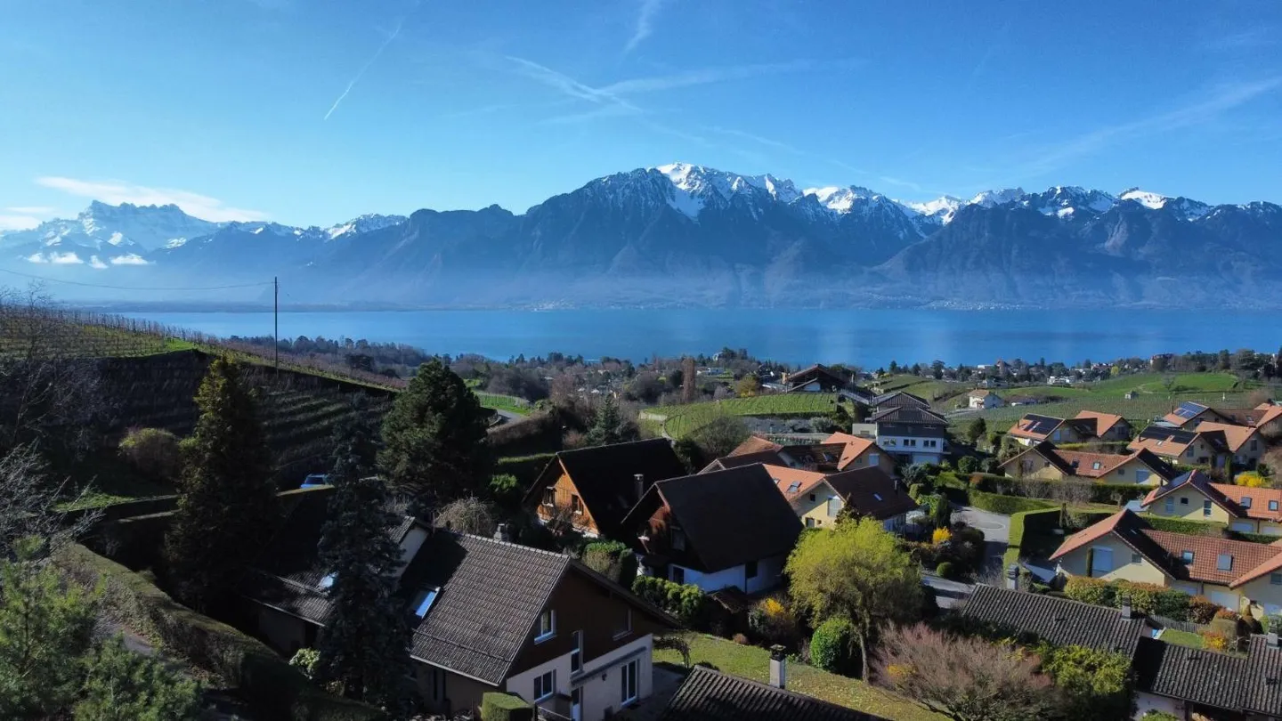 Pace e vista sul Lago di Ginevra! - Foto 1 di 8