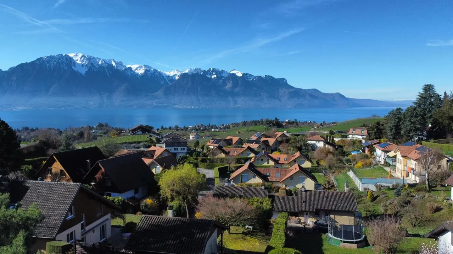 Pace e vista sul Lago di Ginevra! - Foto 8 di 8