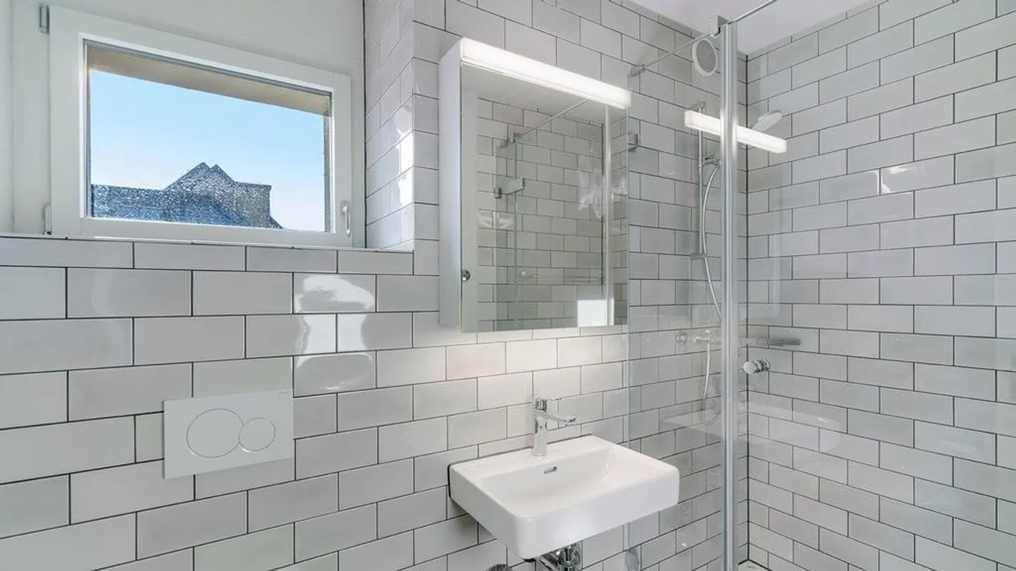 RENT WITHOUT DEPOSIT - First occupancy after renovation - Photo 6 of 8