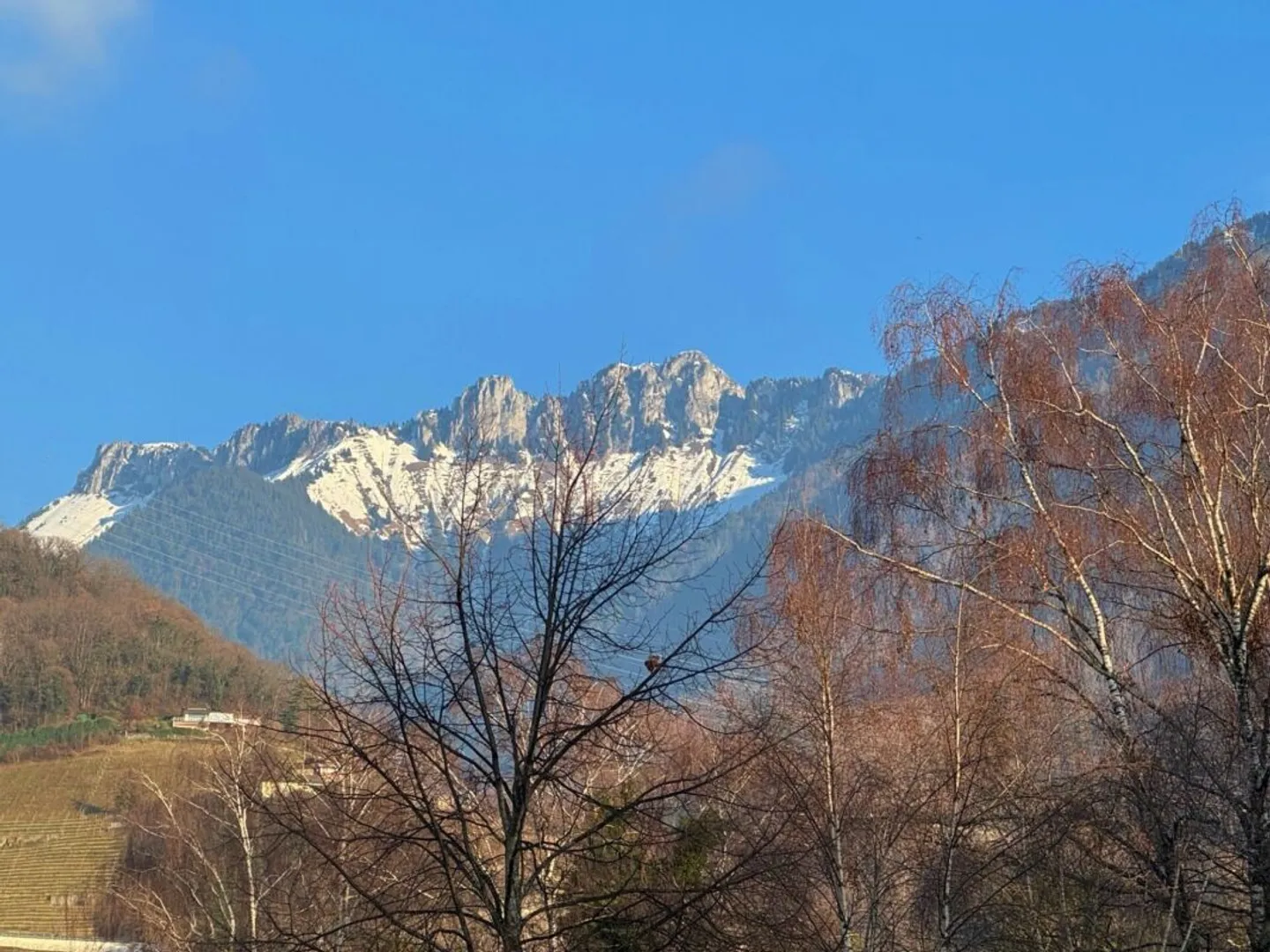 Spacieux 3,5 pièces les pieds dans l'eau - Photo 28 sur 28