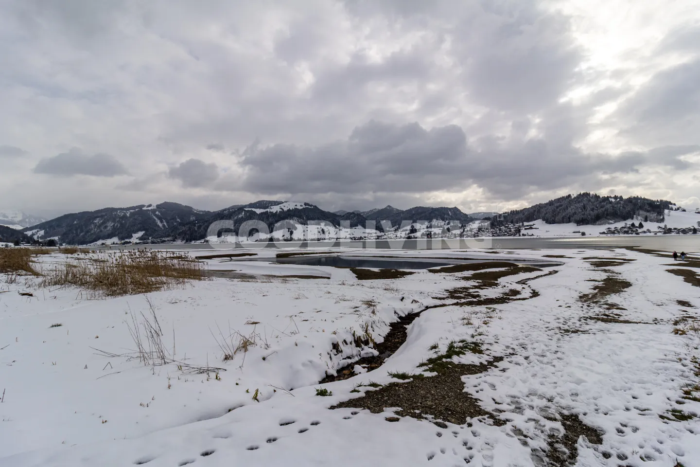 Retreat near Sihlsee - Photo 8 of 11