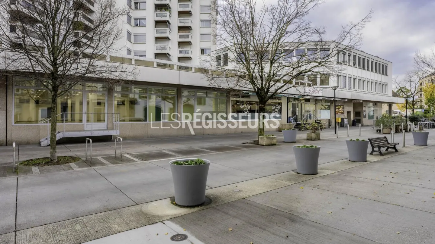 Espace Commercial à Chêne-Bourg - Photo 13 sur 13