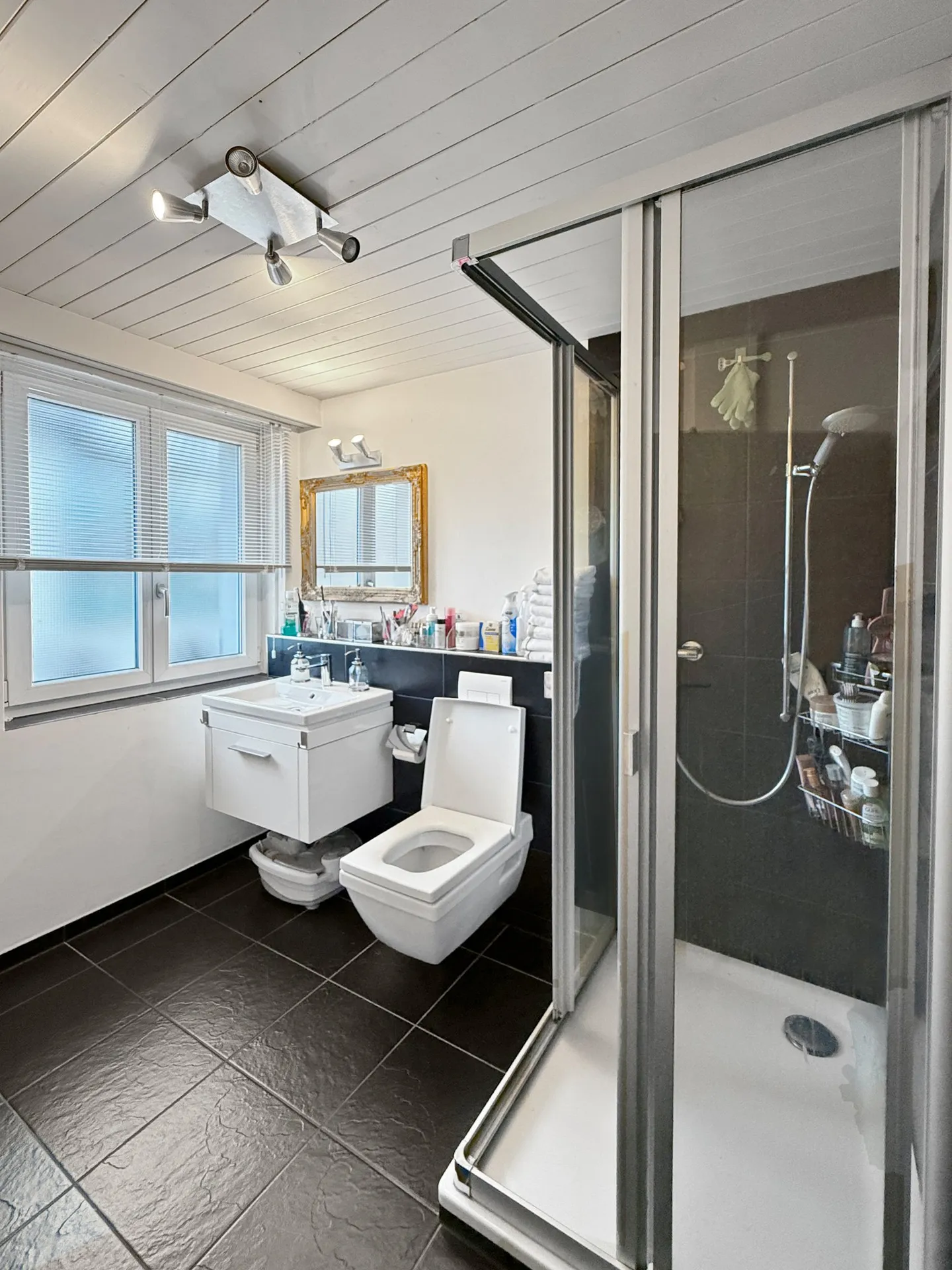 🌊 Where Lake Zurich Becomes Your Direct Neighbor - Photo 9 of 11