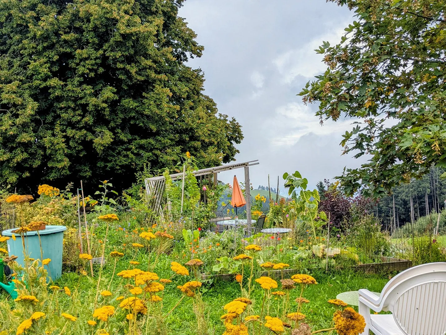 Farmhouse with 2 residential units and commercial space - Photo 4 of 7
