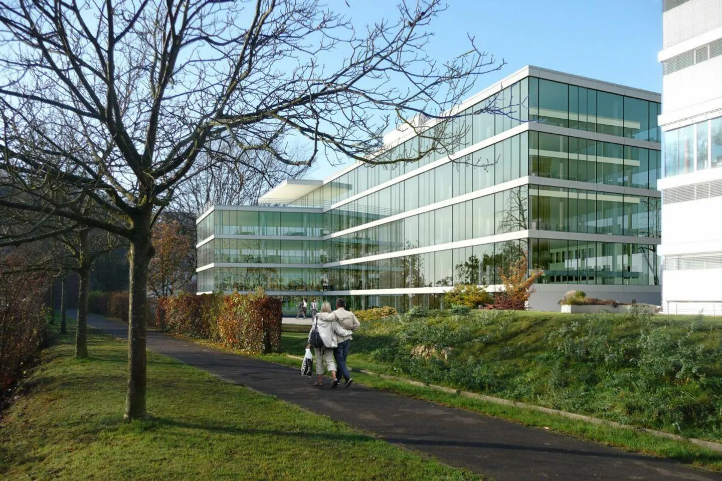 Eccellente spazio ufficio direttamente sulle rive del Reno di dimensioni 520 m2 - Foto 8 di 12