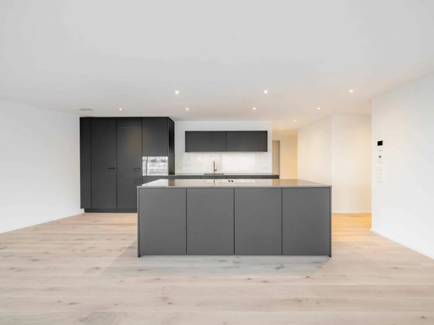 Scarletta - The Peak - 4.5 Room Apartment 01 on the Ground Floor - Photo 4 of 9