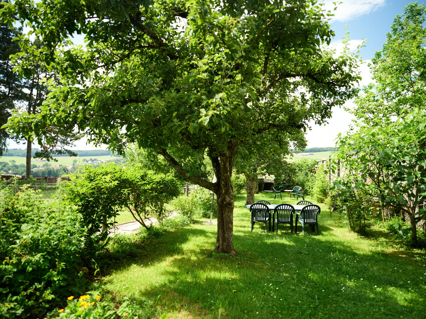 Authentisches Gebäude Altstadt - Foto 9 von 12