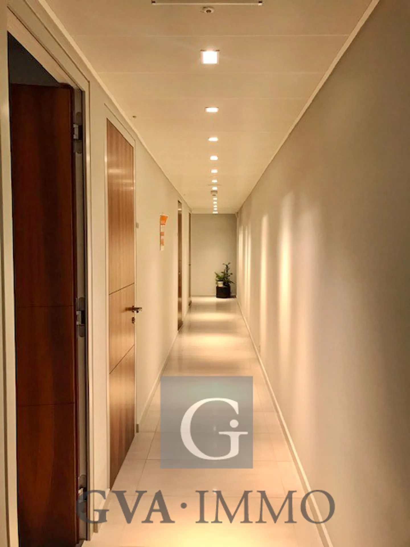 Superbi uffici nel quartiere di Malagnou - Foto 3 di 9