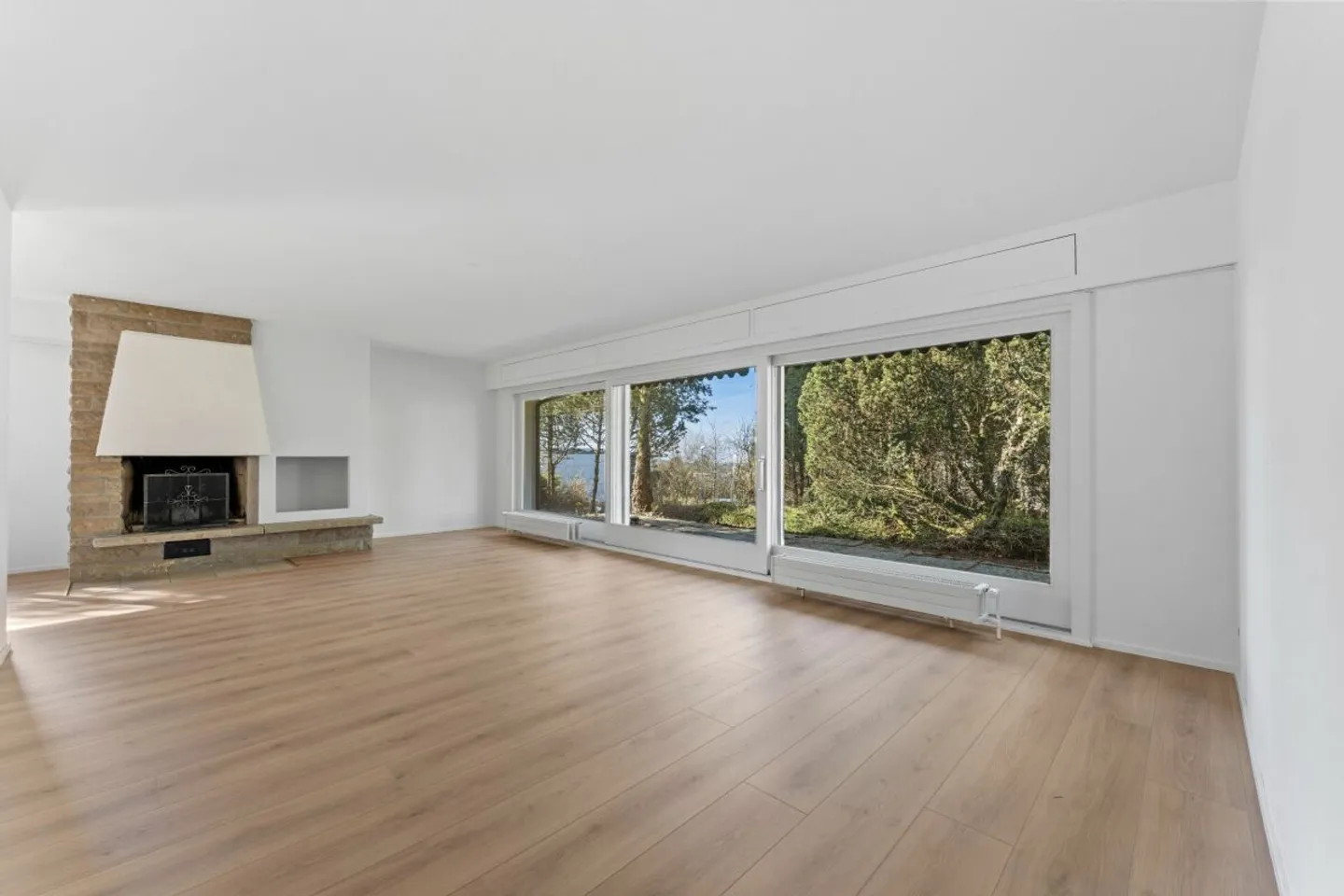 Stylish Living Above Lake Biel - Photo 5 of 12