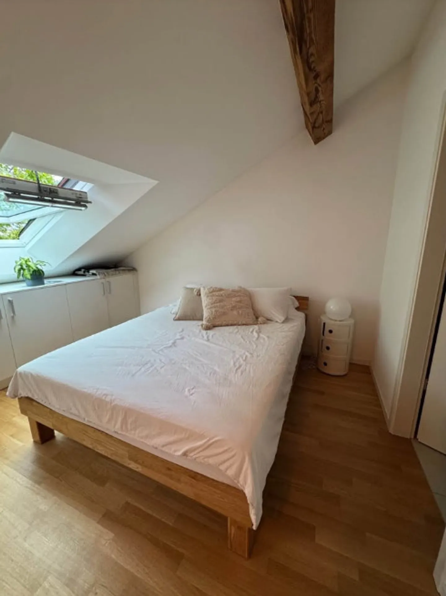 Superbo studio spazioso di 44m2, in pieno centro - Foto 7 di 7
