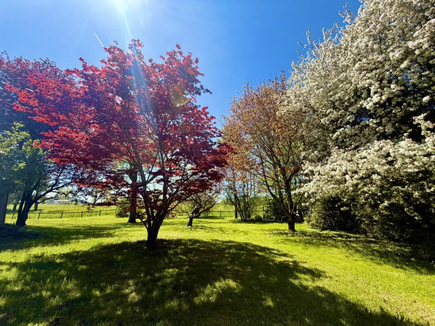 Magnifique ferme rénovée dans un coin de paradis - Photo 12 sur 13
