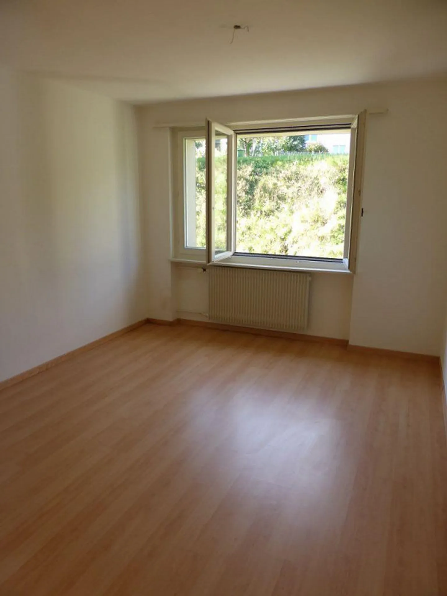 Sonnige Wohnung mit Alpsteinblick - Foto 4 von 6