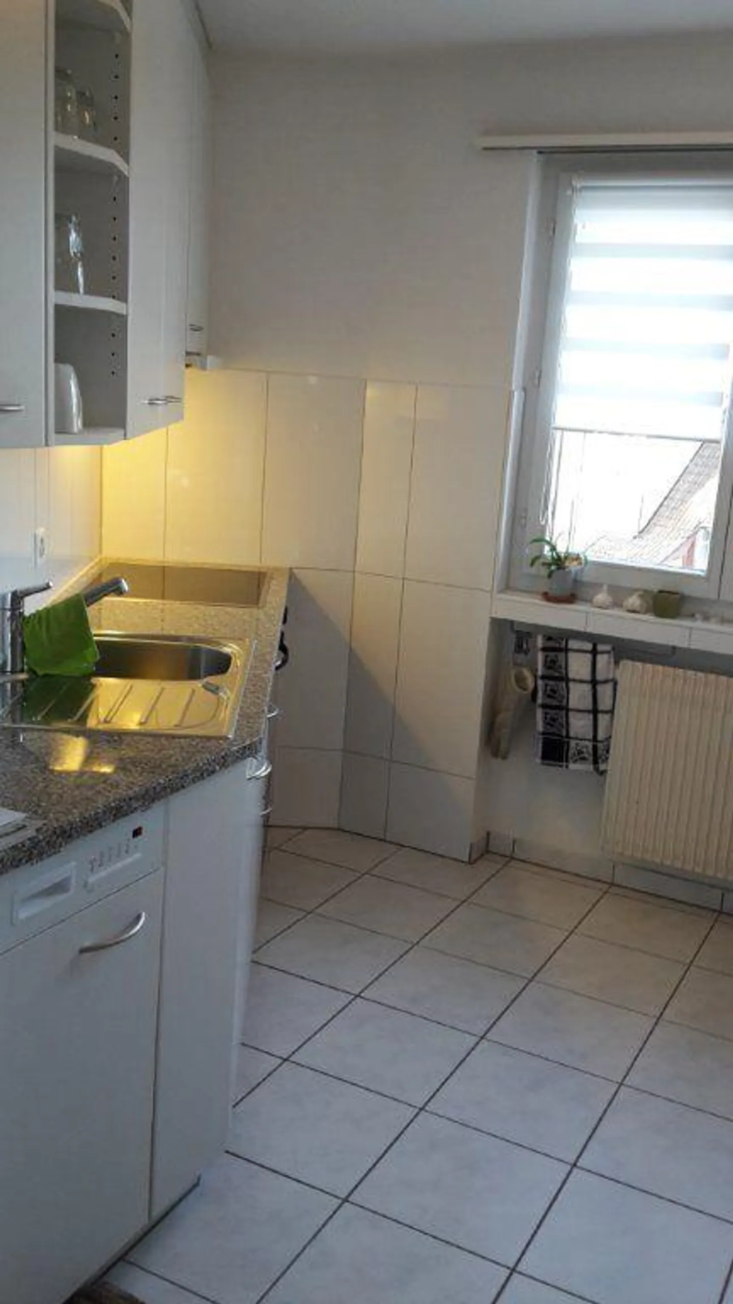 Sonnige Wohnung mit Alpsteinblick - Foto 5 von 6