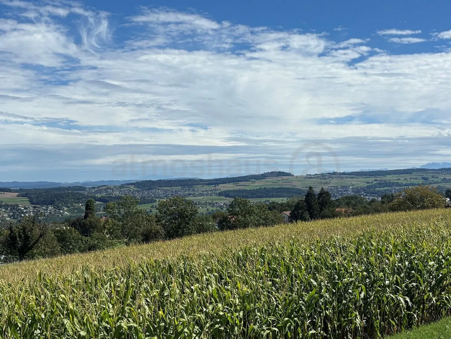 Vivere esclusivo su grande proprietà - Nuova casa unifamiliare vicino al Hallwilersee - Foto 10 di 11