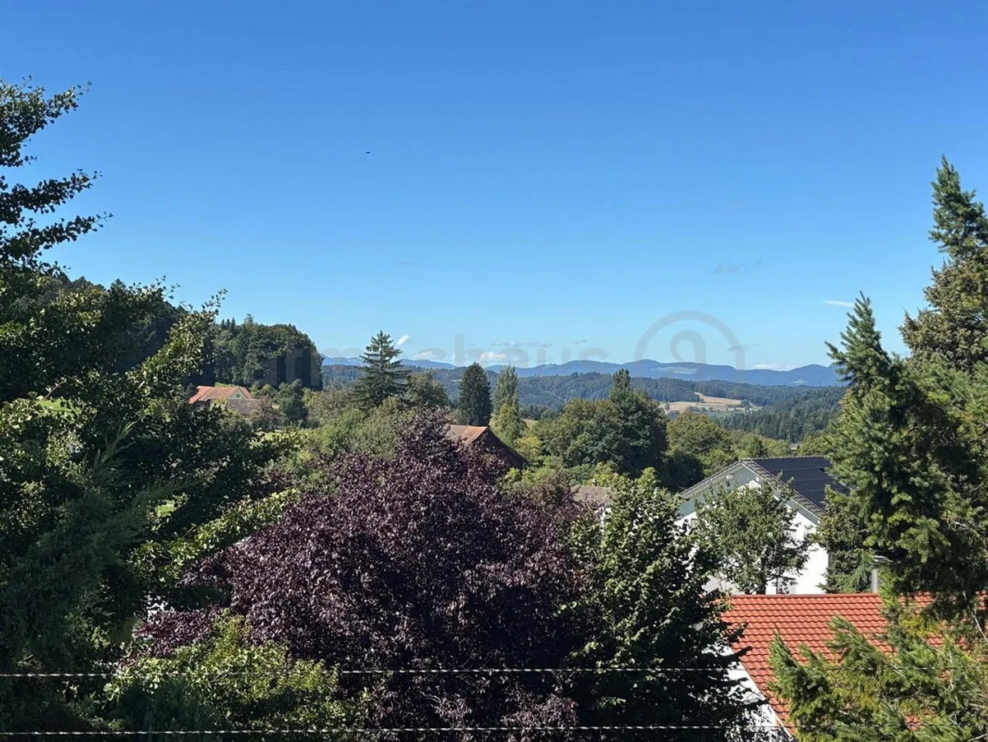 Vivere esclusivo su grande proprietà - Nuova casa unifamiliare vicino al Hallwilersee - Foto 11 di 11