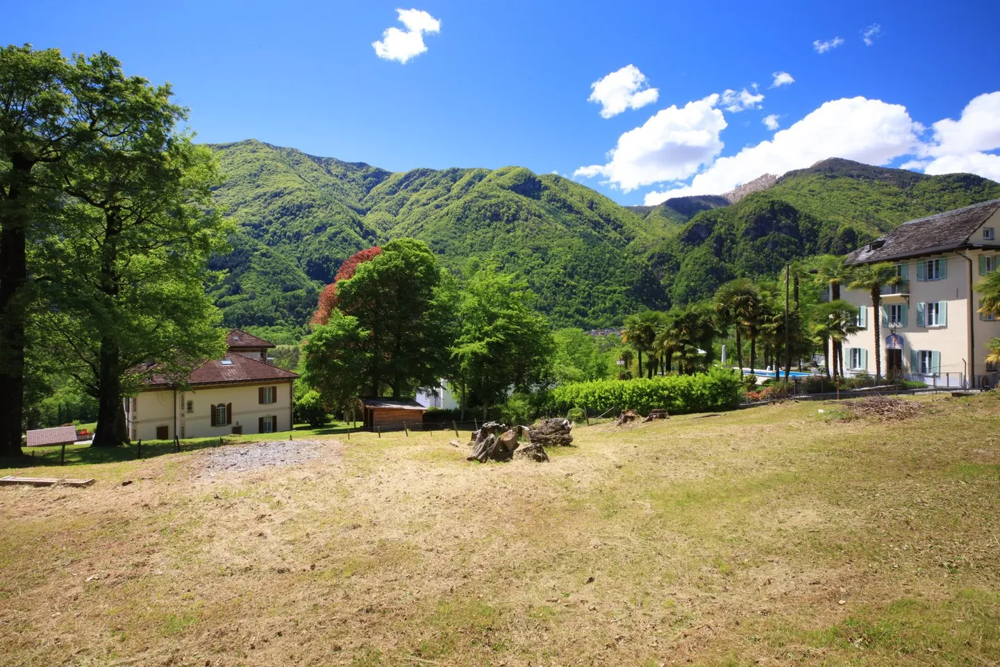 Luce, cemento e legno incorporati tra il verde e le montagne di Valmaggesi - Foto 5 di 11