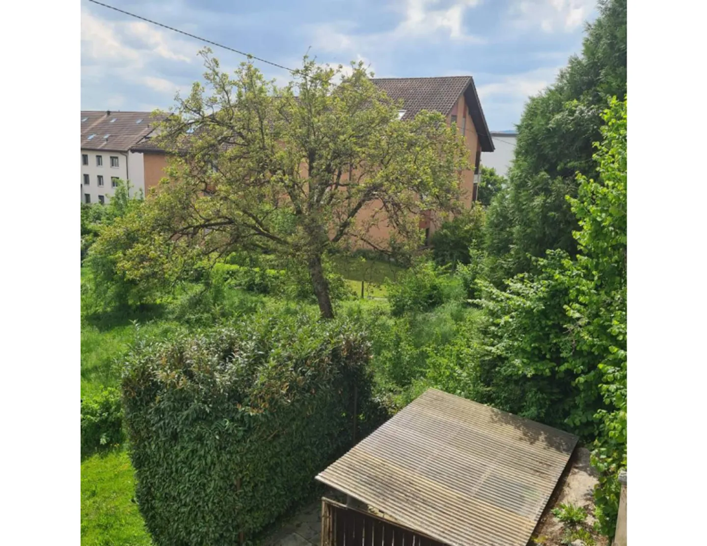 Lavorare e vivere sotto lo stesso tetto – affascinante casa unifamiliare con ufficio separato - Foto 10 di 15