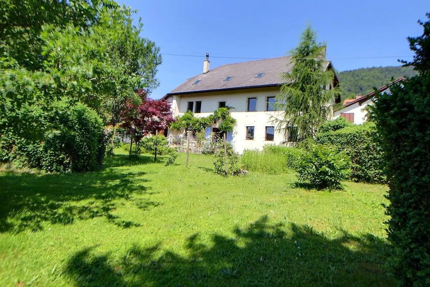 Schönes Haus in besetzter Leibrente ohne Miete - Foto 3 von 24