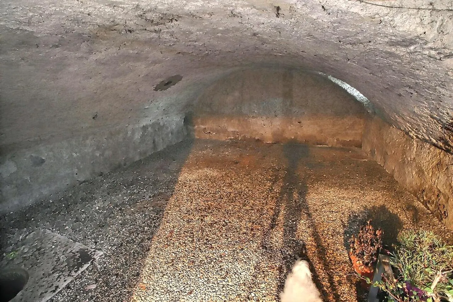 Schönes Haus in besetzter Leibrente ohne Miete - Foto 21 von 24