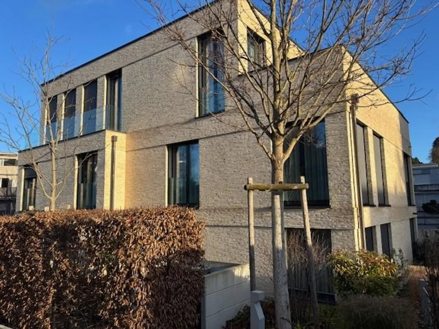 Charmante Wohnung in Wollishofen - Foto 1 von 2