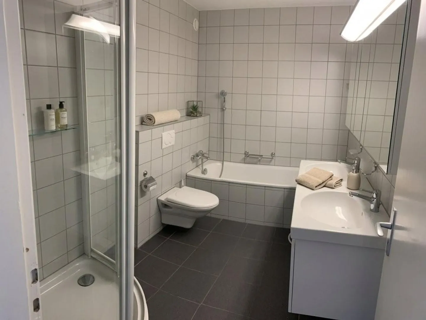 Vous cherchez un chez-soi au cœur de la ville de Bâle ? - Photo 6 sur 11