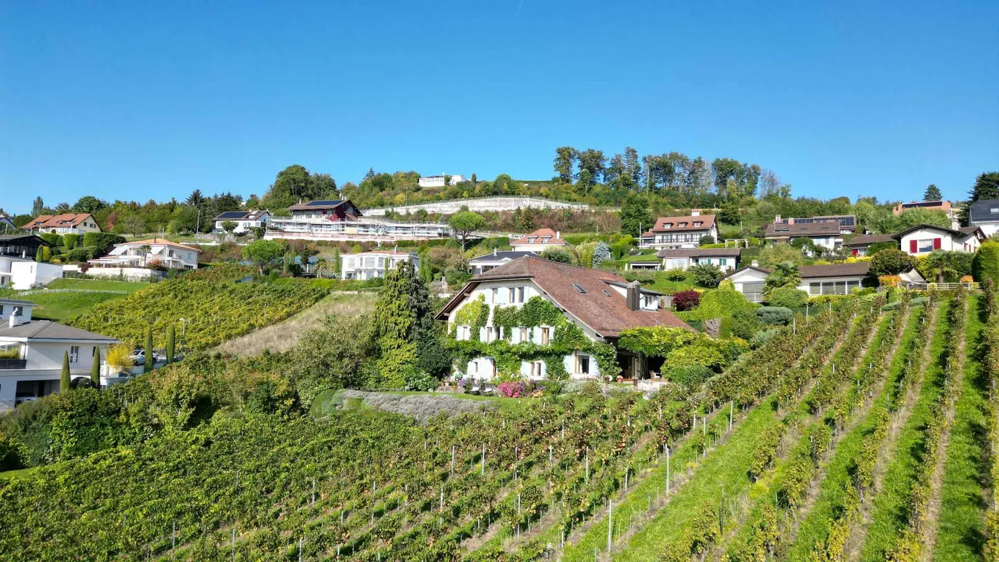 Residenza vinicola eccezionale di oltre 450 m2 con vista mozzafiato - Foto 12 di 13