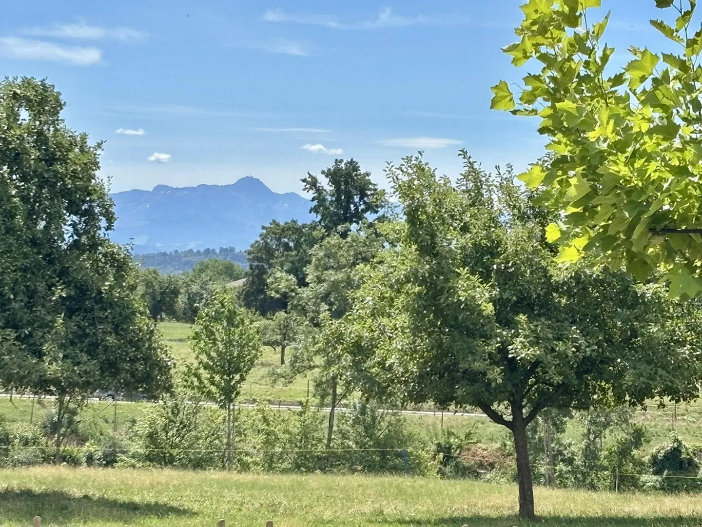 Oggetto dell'amante - Foto 14 di 15