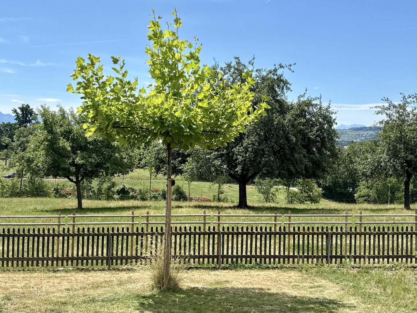 Oggetto dell'amante - Foto 15 di 15