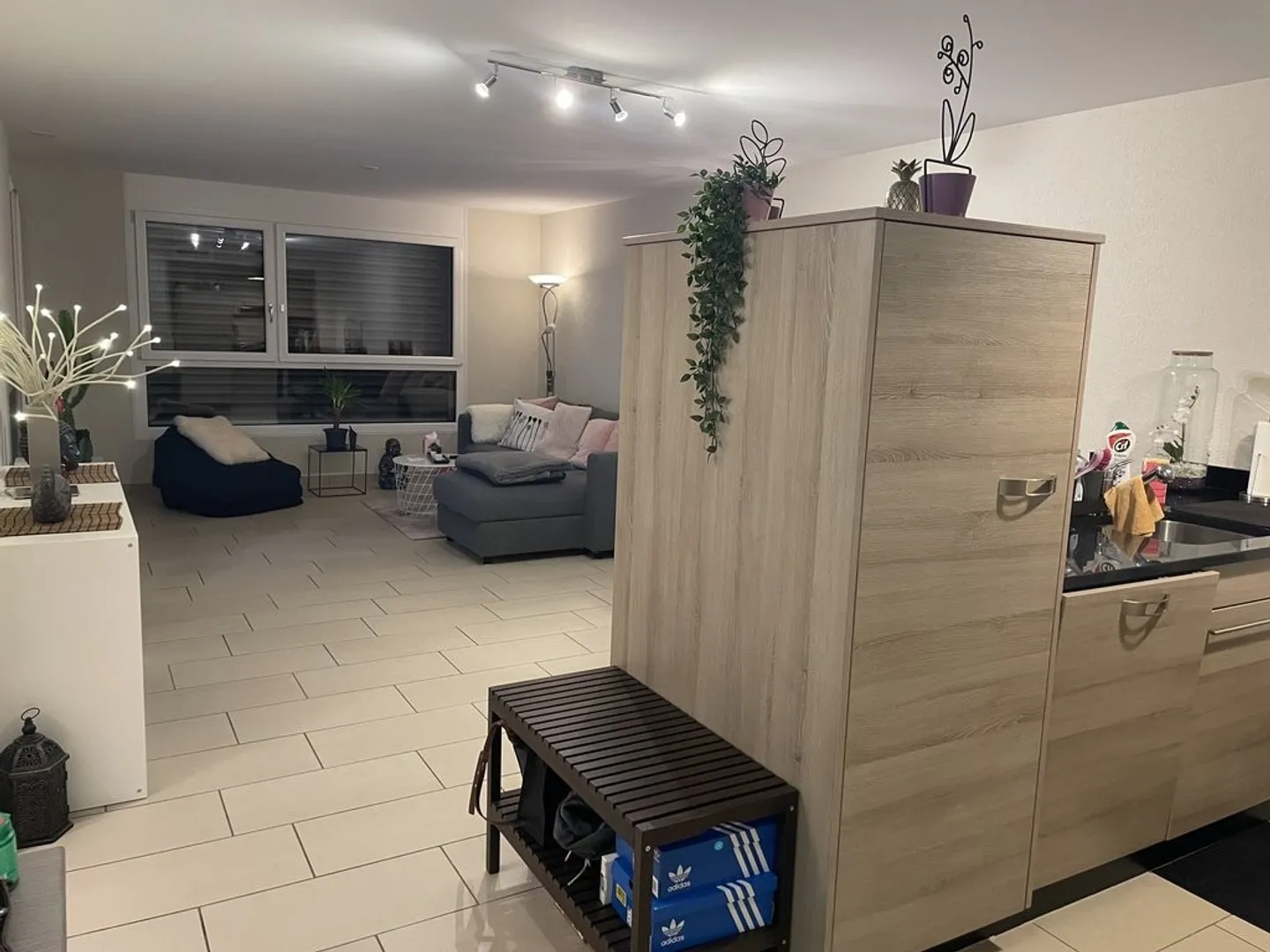 Appartamento di 2,5 locali al piano terra con giardino - Foto 2 di 6