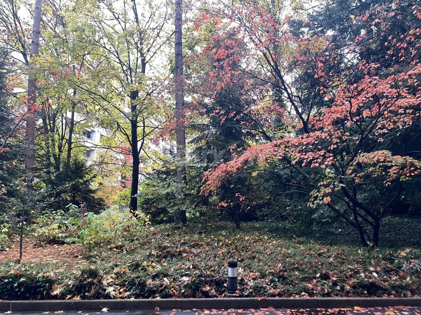 2.5 rooms ideally located - Photo 9 of 9