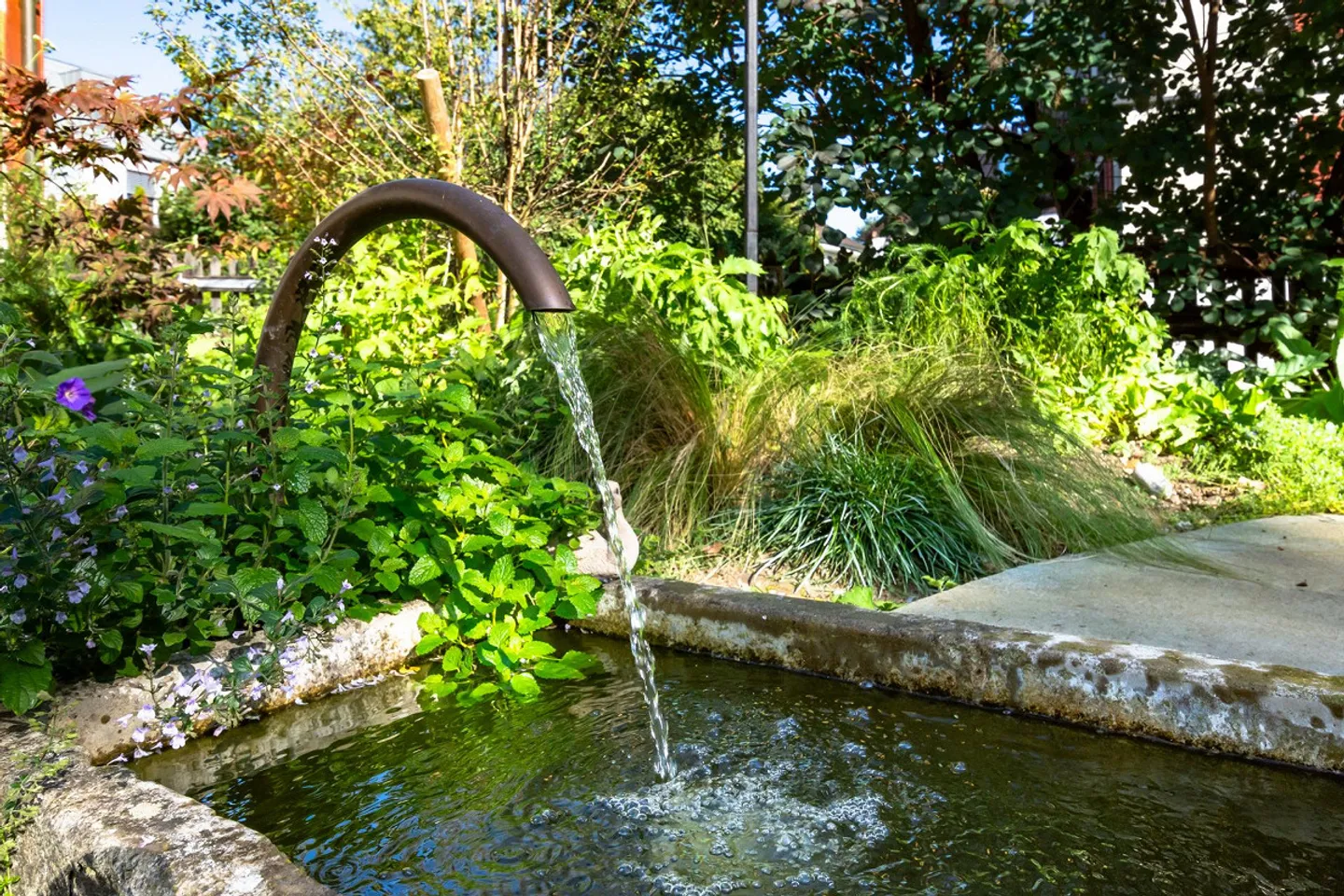 Zentrales Riegelhaus mit Garten - bezaubernd modernisiert - Foto 25 von 32