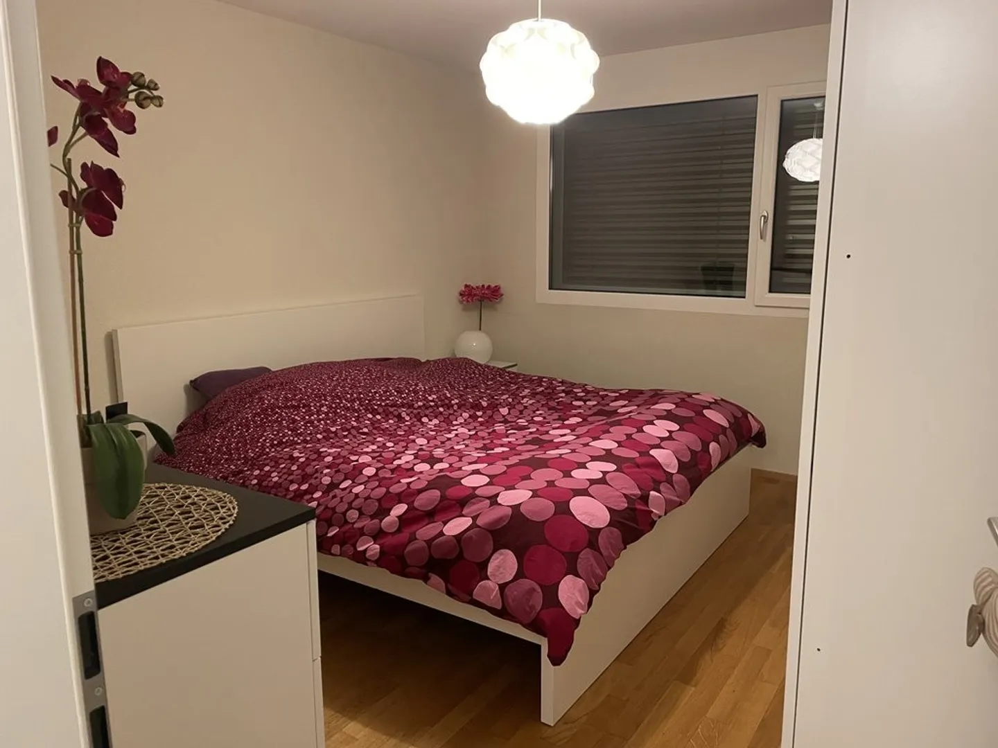 Appartamento di 2,5 locali al piano terra con giardino - Foto 5 di 6