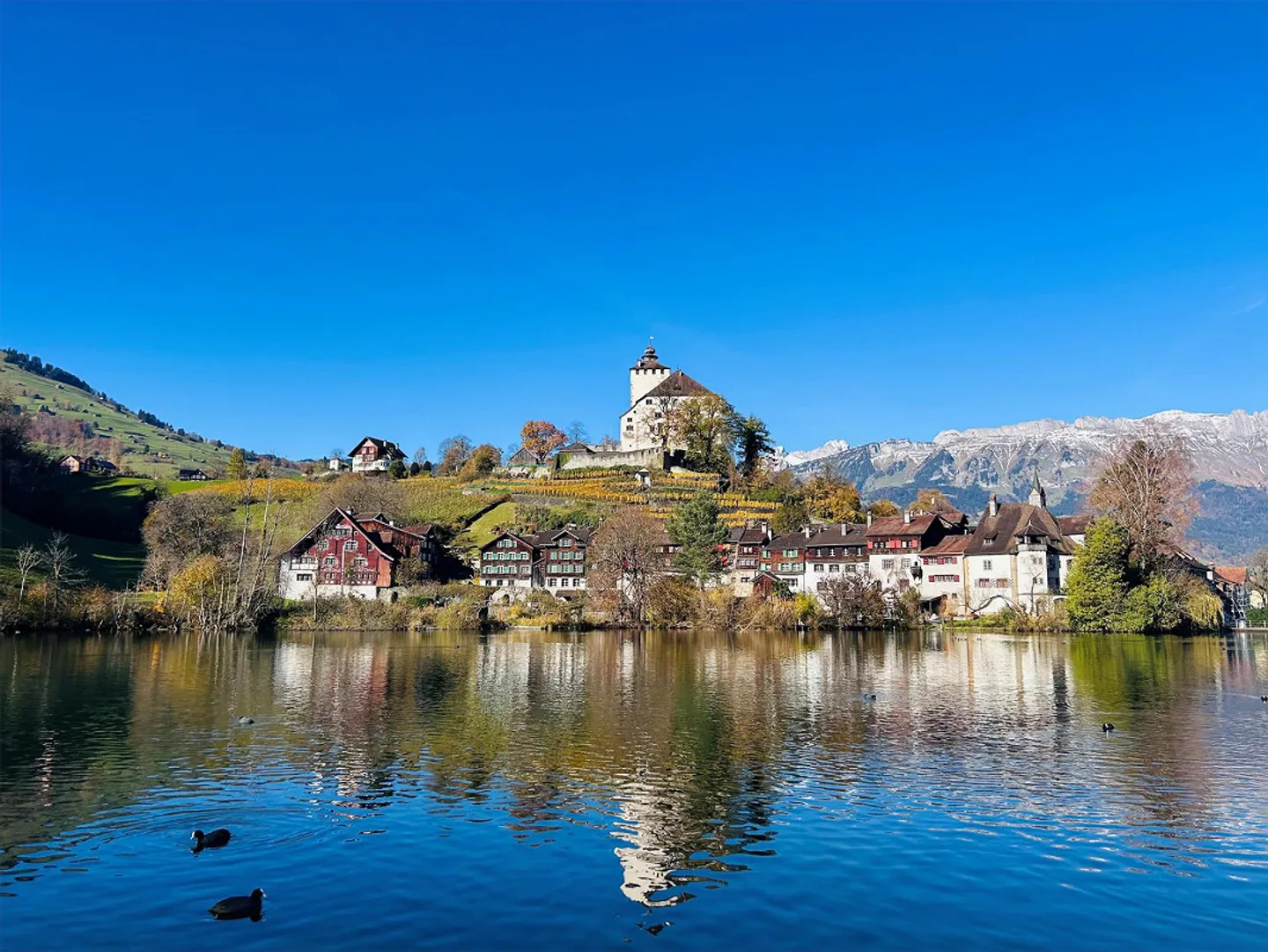 Casa residenziale storica di 6 stanze nella città - Foto 4 di 23