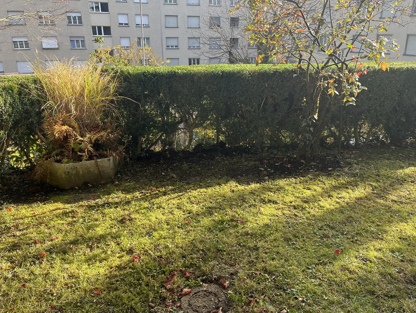 Charming and Sunny Garden Apartment - Photo 11 of 11