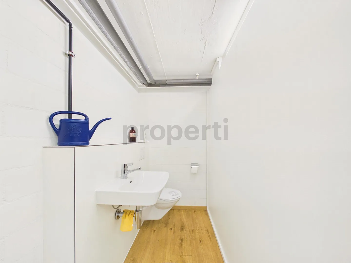 Versatile commercial spaces in a strategic location in Altstätten - Photo 8 of 11