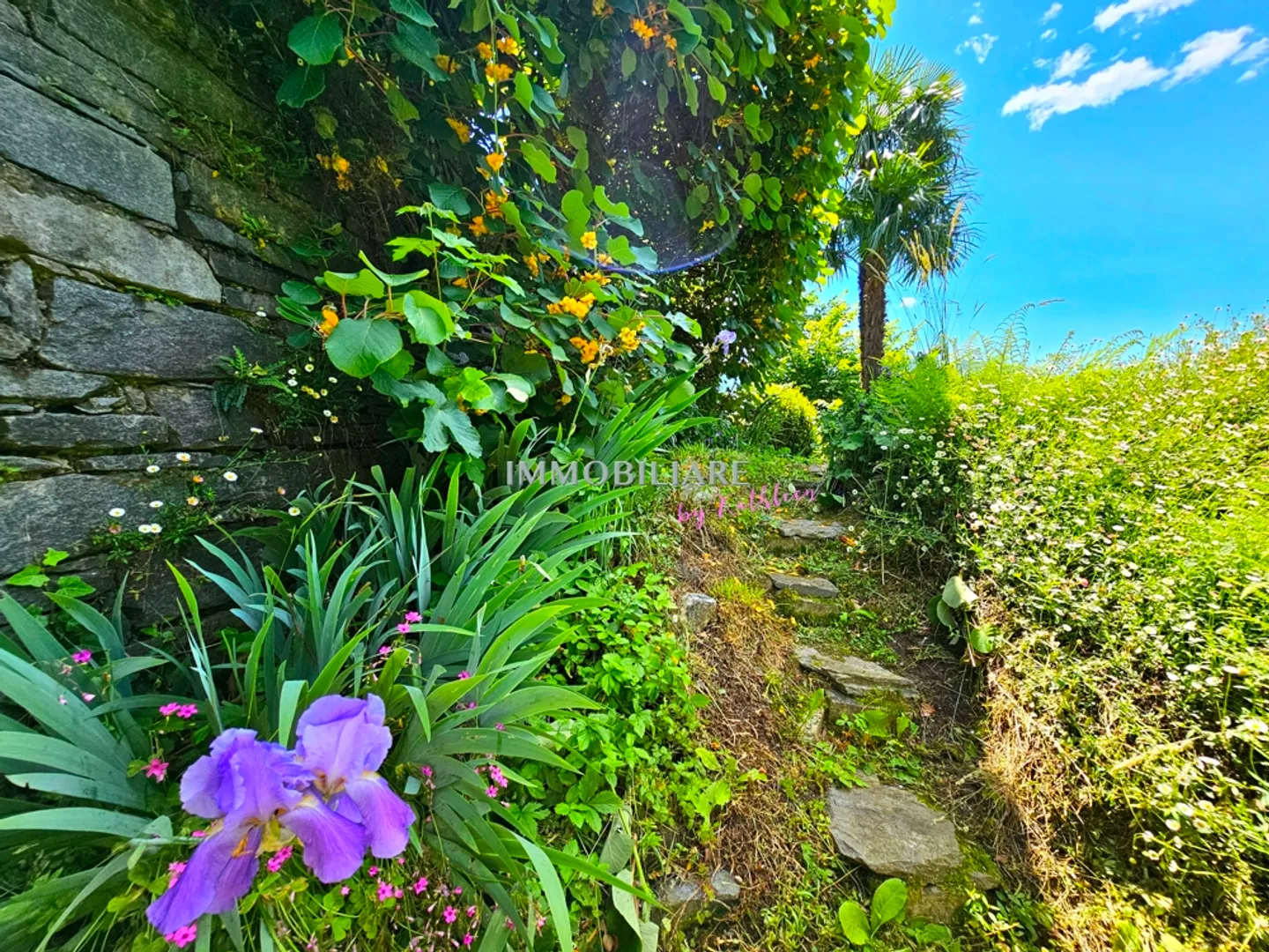 Charming holiday home with idyllic terrace garden at the entrance to the Verzasca Valley - Photo 4 of 17