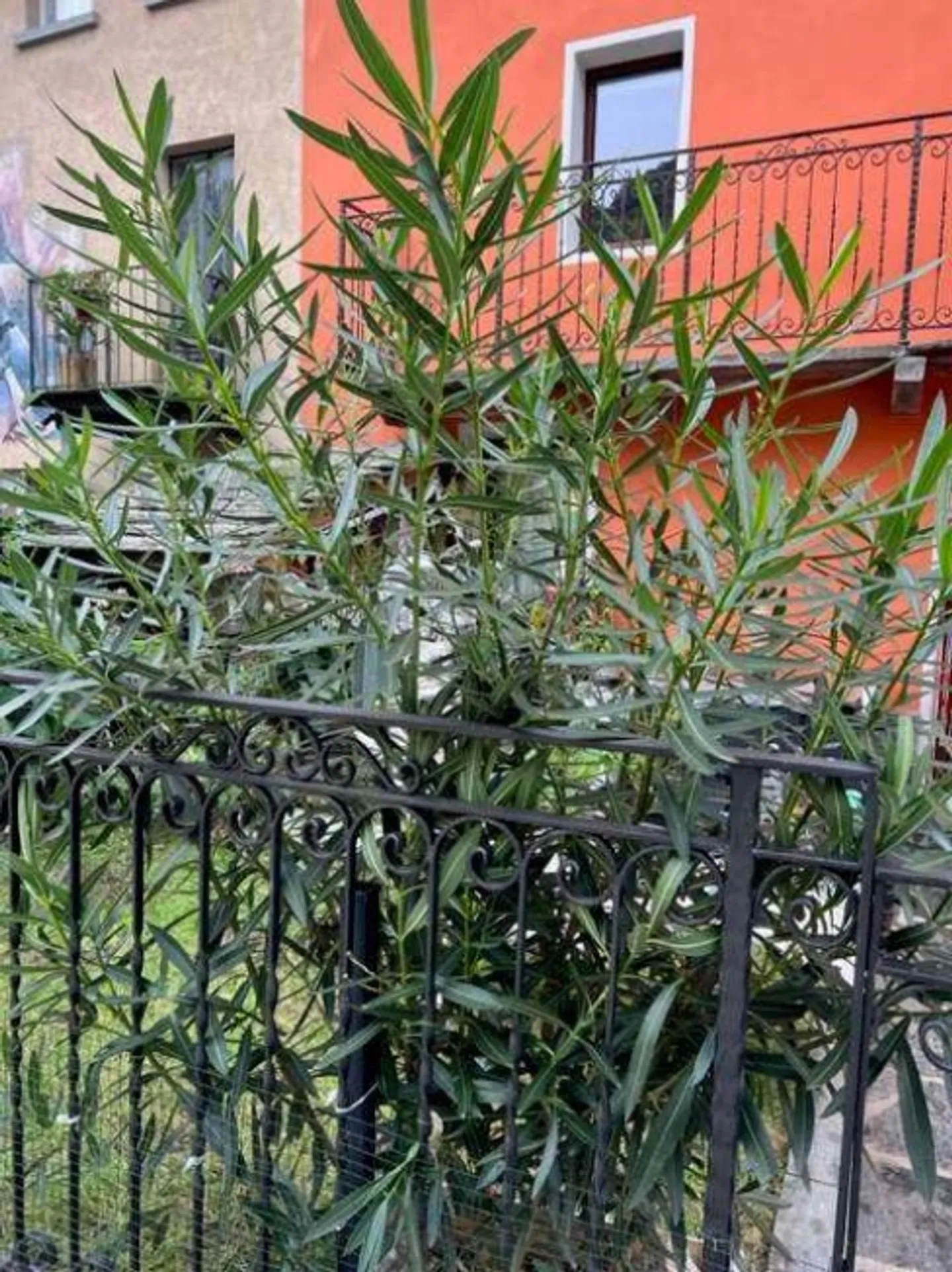 Beautiful Multi-Family House - Photo 2 of 20