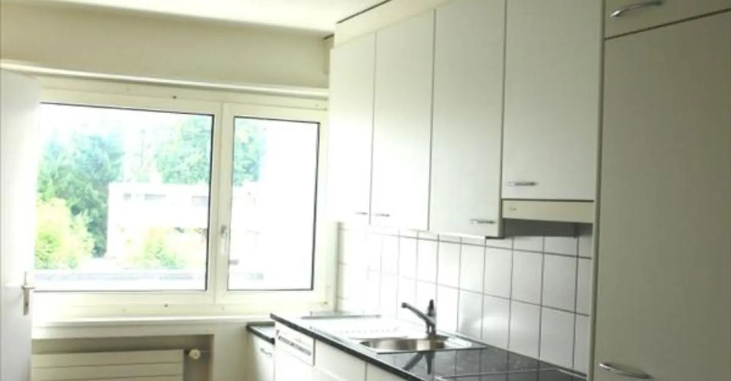 Vivere in una posizione soleggiata con vista sul lago - Foto 3 di 10