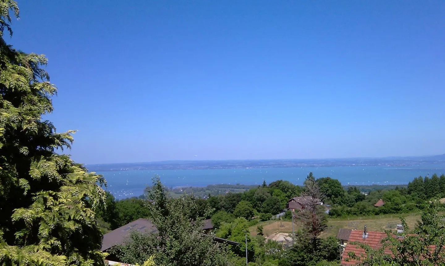Casa singola in affitto - Foto 4 di 4
